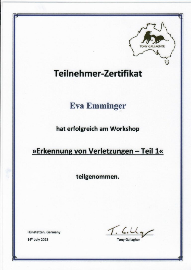 Zertifikat Tony Gallagher