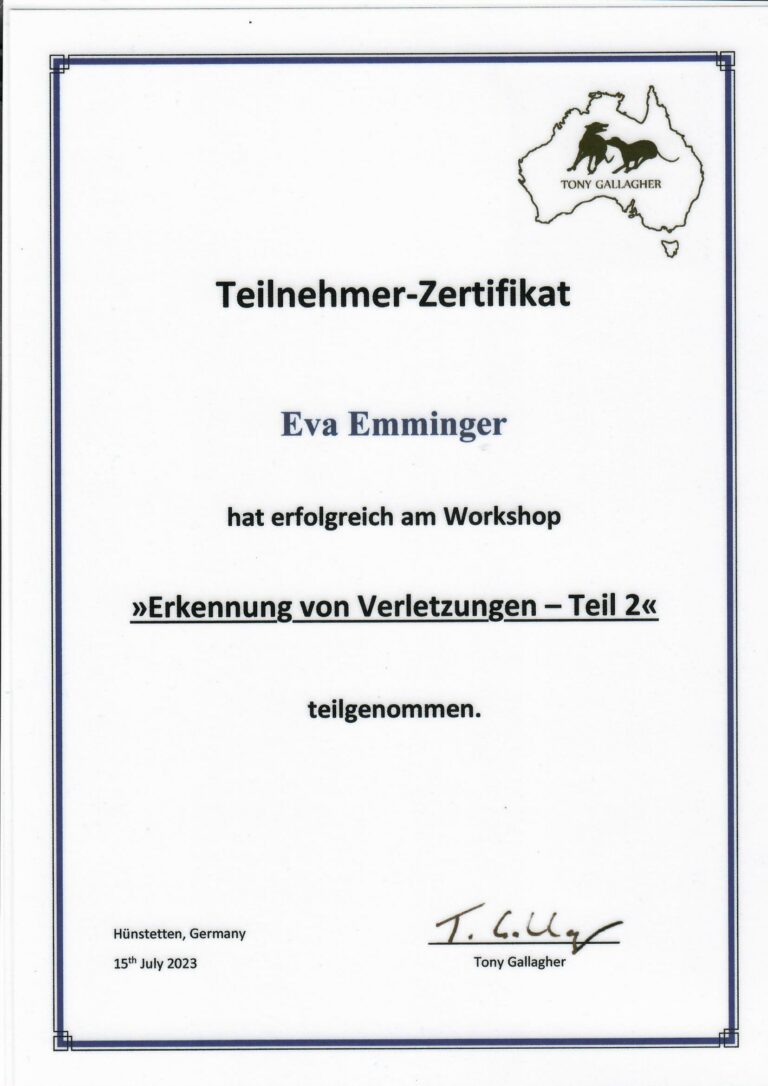 Zertifikat Tony Gallagher