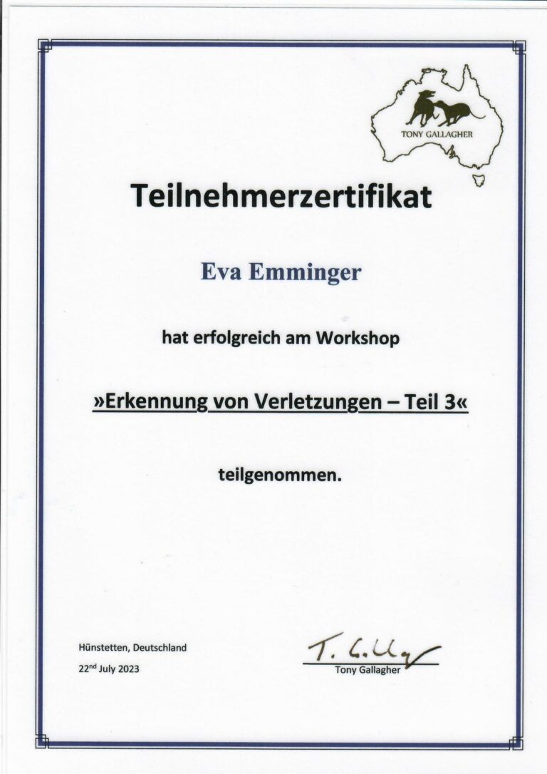 Zertifikat nach Tony Gallagher