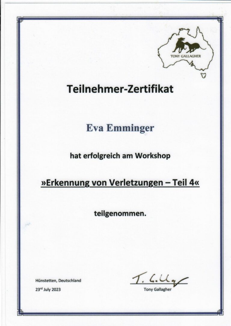 Teilnahme Zertifikat Tony Gallagher