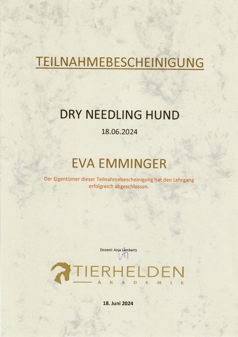 Dry Needling Zertifikat