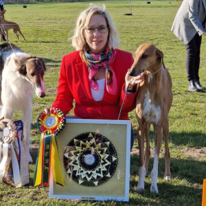 FitForFunction_Show_Azawakh_8