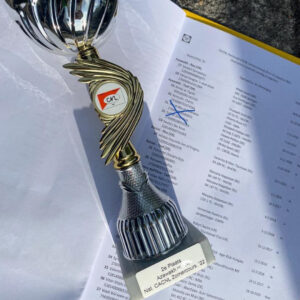 FitForFunction_Show_Azawakh_9