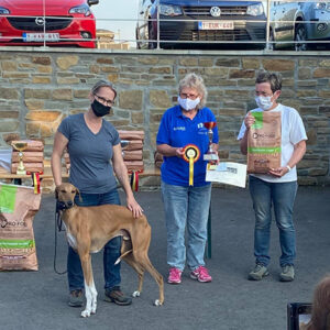 FitforFunction_Coursing_Azawakh_1