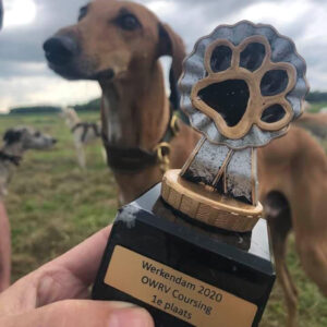 FitforFunction_Coursing_Azawakh_5