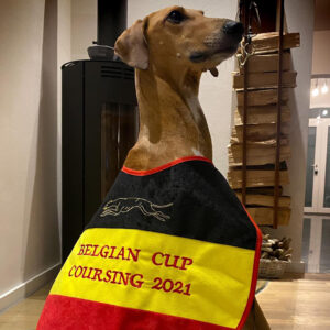 FitforFunction_Coursing_Azawakh_8