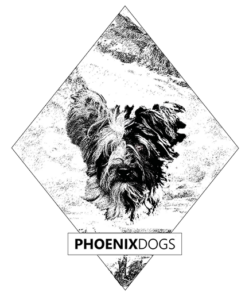 Phoenix Dog Hundetrainer